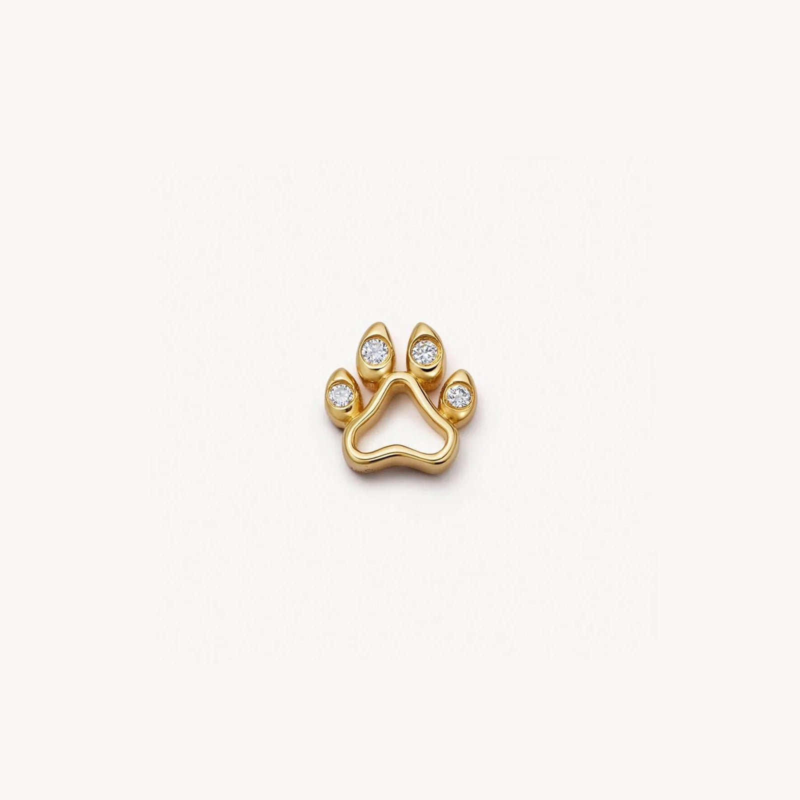 Dog Paw